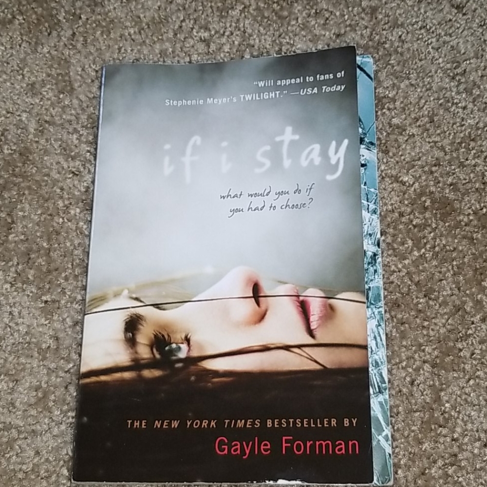 If I stay book